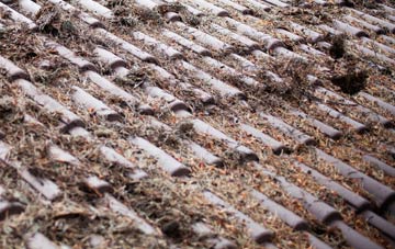 Slepe roof cleaning companies