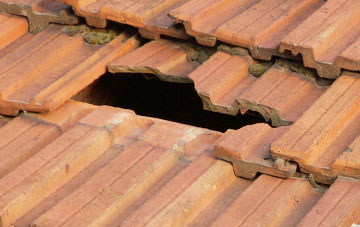 roof repair Slepe, Dorset