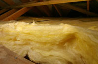 Slepe pitch roof insulation