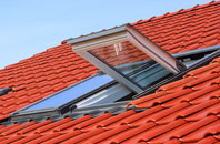 Slepe roof window